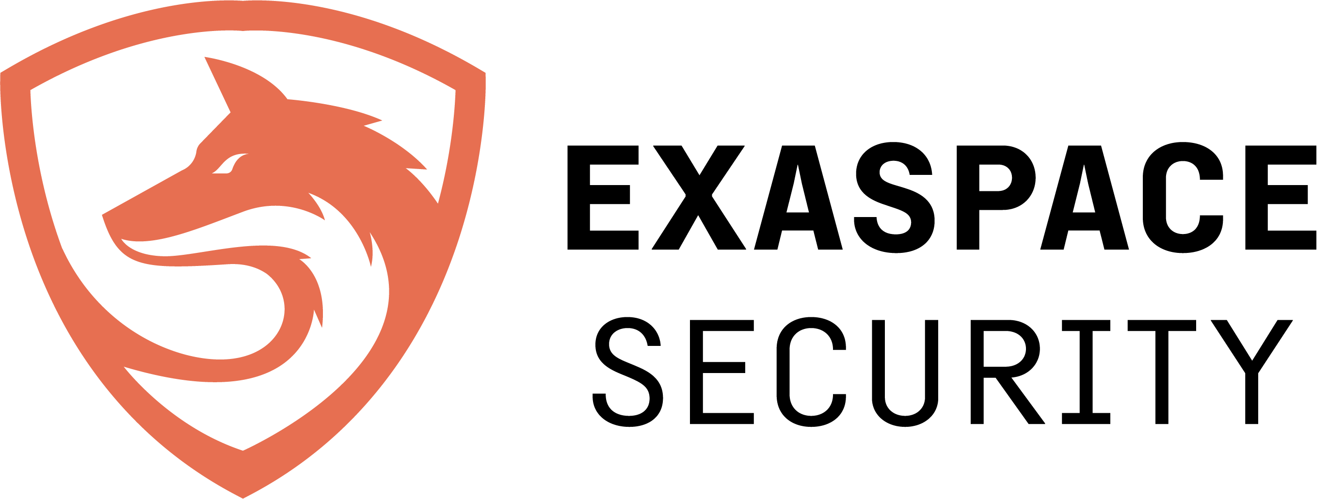 Exaspace Security Logo